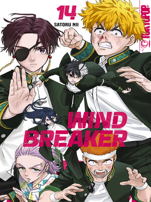 cover image of Wind Breaker, Band 14